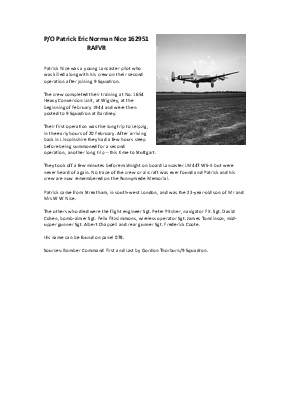 A preview of a PDF biography for Nice, Patrick Eric Norman